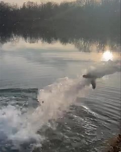 Immissione diretta di questa sera 🎣 🎣🎣🎣 | Nuovo Lago Smeraldo