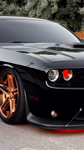 Bagged Scatpack 392 build. All the details in one scan. Free QR stickers when you download the Ride ID app with my link — link in bio. #bagged #scatpack392 #airsuspension #carbuild #dodge | scatpack_bee