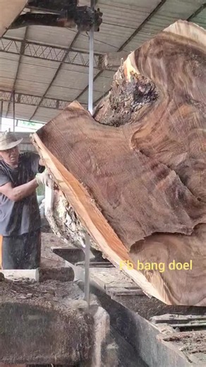 Big Pin Oak Sawn at the Mill — Watch the Milling Process
