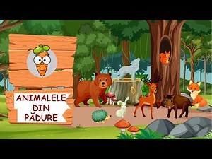 Sa invatam cu Morcovel - Animalele din Padure