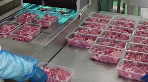 Packing of meat slices in boxes on a conveyor belt