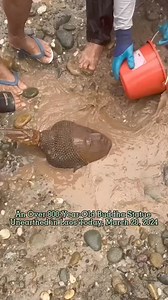 The 800th years old Buddha statue found in the river inside forest. Such a luckiest moment to see. | Buddhism For World Peace And Humanity