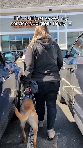 The skill that saved my service dog from injury!