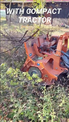 Vegetation management with compact tractor and forestry mulcher #tractor #defrisareterenuri
