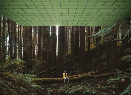 Acoustic ceilings and wall absorbers | Ecophon