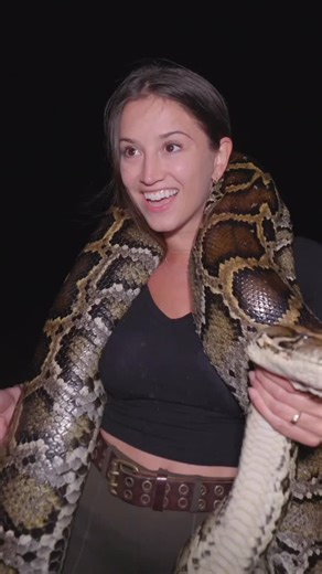 Lexie Alford on Instagram: "16 ft MONSTER PYTHON found in the Everglades!! Burmese pythons aren't native to Florida and they’ve been destroying the local ecosystem by eating everything from raccoons to birds to deer and even alligators. Finding them is way harder than you’d expect. They can be over 16 feet long like this one but they’re nearly impossible to spot in the thick brush. Some hunters go hours or even days without seeing one. That’s where trained scent-tracking dogs come in. Their nose