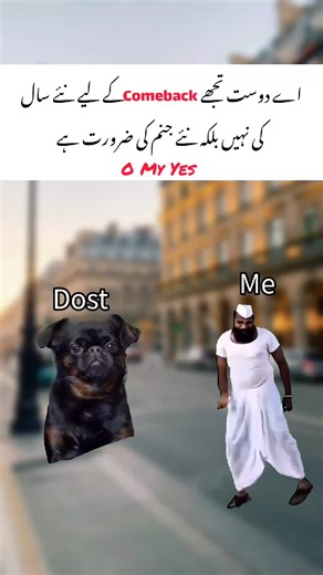 Creative Funny Memes for New Year Celebration