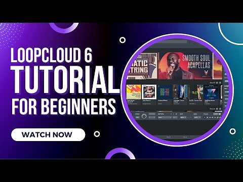 Loopcloud 6 Tutorial For Beginners