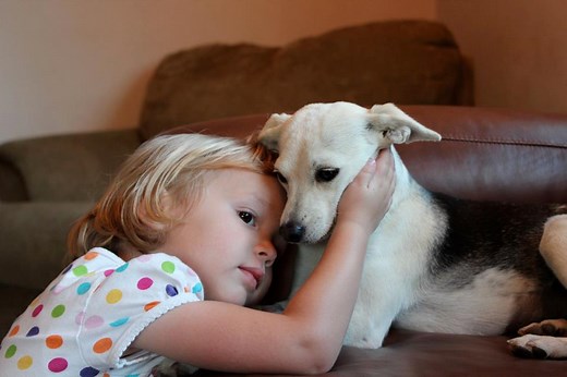 About Us - Rocket Dog Rescue