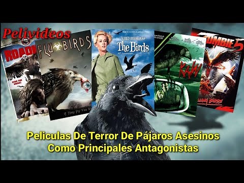 Peliculas De Terror De Pájaros Asesinos | Pelivideos Oficial