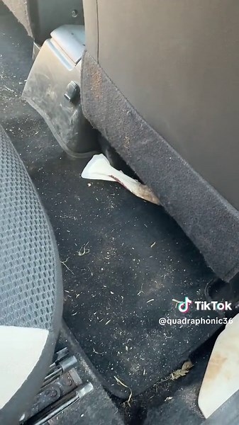 Empowering Bolt Drivers: Stand Up Against Disrespect