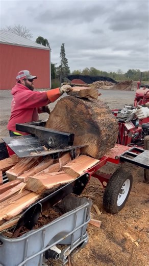 Alpha 6 Box Wedge Log Splitter: https://www.timberwolfequip.com/products/alpha-6-log-splitter Holmdel Nurseries LLC | Timberwolf Firewood Processing Equipment