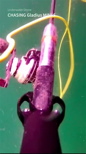 Which one of you legends threw the WHOLE rod in? 😂 #underwaterdrone