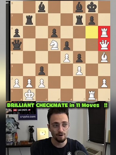 Brilliant Checkmate in 11 Moves