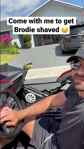 Come with me to shave my fluffy dog! #doggrooming #grooming #goldendoodle