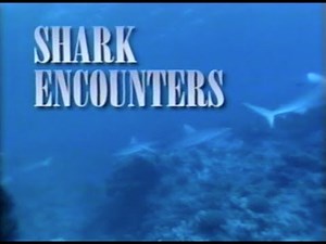 National Geographic: Shark Encounters (1993)