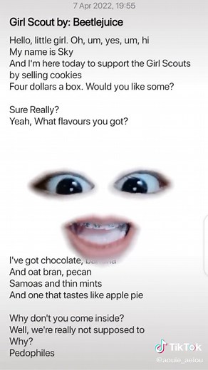 Girl Scout Beetlejuice Lyrics: Hi My Name Is Sky Song