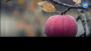 If you think living a sustainable life is practically not possible, here are 15 simple ways to lead one. | Jist