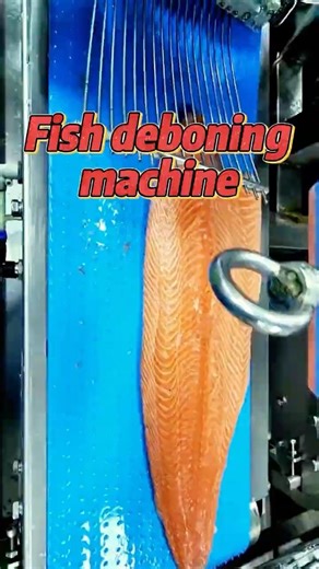 High Efficiency Fish Deboning Machine for Salmon and Other Fish#fishprocessing #foodprocessing
