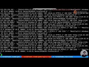 13{ 用GoAccess实现可视化并实时监控access日志 hd