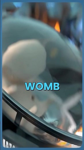 Artificial Wombs Will Change Everything in 2025