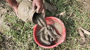 555K views · 243 shares | Best Mud Water Fishing the Smart Boy Build Deep Hole Underground catfish Trap By Muddy soil Work. | AB Fishing | Facebook