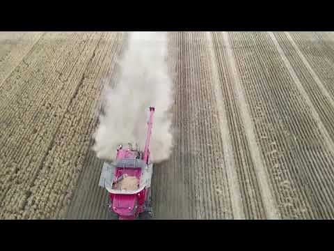 Australian wheat farmers harvest a bumper crop