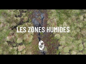 Les zones humides du Parc naturel régional Livradois-Forez
