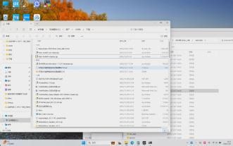 第三章 rk3588通过Python API在开发板上加载模型并执行图像推理测试和部署cpp程序