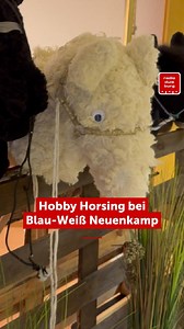 Schon mal auf einem Steckenpferd über ein Hindernis gesprungen? 🐴💨 Beim Hobby Horsing geht es auch um Dressur, Springen und Co - allerdings mit dem Steckenpferd. Für die Sportserie haben wir die Trainingsgruppe von Blau-Weiss Neuenkamp besucht. Hier geht es um Spaß am Sport und Flucht in die eigene Pferde-Welt. 🧹🐴 #hobbyhorsing #pferd #blauweissneuenkamp #duisburg #radioduisburg | Radio Duisburg