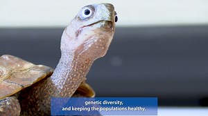 3.5K views · 42 reactions |  This is the beginning of our Party for...