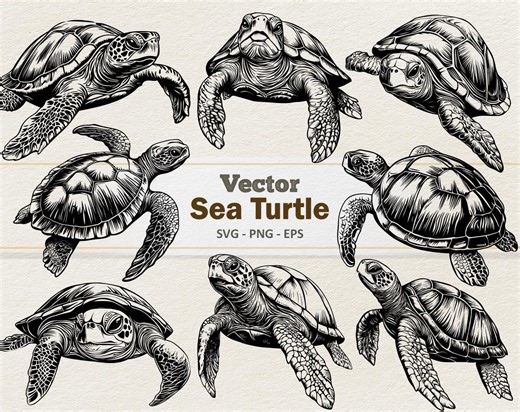 Vector Sea Turtle Clipart - Line Art Digital Illustration - Marine Turtles SVG PNG - Commercial Use - Etsy