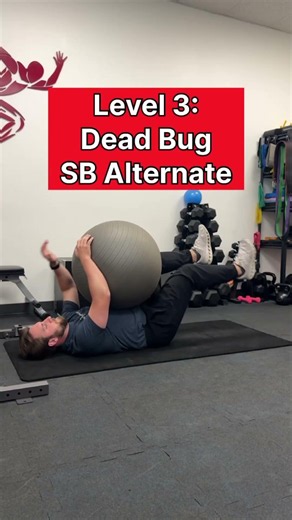 Dead Bug Progression From Level 1 to 5 🔥
