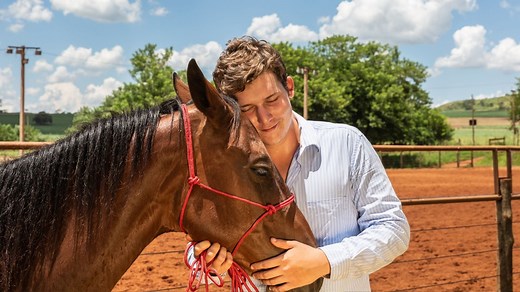 What To Do With A Dead Horse: A Strategic Guide