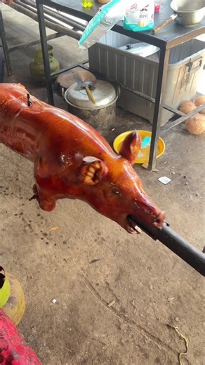 wayan_pleno (@wayan_pleno)’s videos with suara asli - wayan_pleno