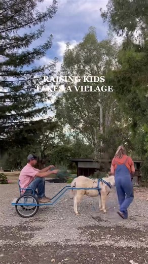 Lets bring back family compound living.. I can tell you its something special worth pursuing 💖🙌🏻🥺 #familycompound #compound #commune #communelife #communeliving #communetiktok #familylife #homestead #fy #crunchymom #familyfarm #farmlife #homesteadfamily | Thermaland Oaks