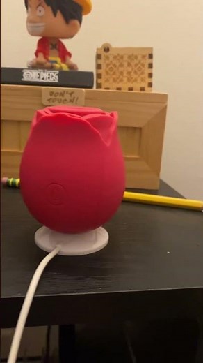 Rose toy not charging easy fix easy fix