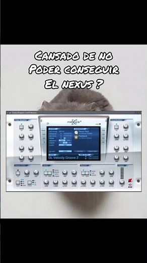Cómo descargar Nexus plugin 🌱 #pluginsgratis #music #beatmakerslife