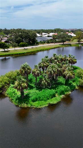 ✨ Welcome to Chestnut Creek! ✨ Take a peek inside one of Venice’s most charming and established communities — known for its canopy-covered roads, tranquil lakes, and unique personality across 9 sub-communities. Whether you’re looking for a peaceful place to retire or a vibrant neighborhood to call home, Chestnut Creek truly has something for everyone. 🎥 Watch the full video tour to see why so many people fall in love with living here! 🌴🏡 #ChestnutCreek #VeniceFlorida #CommunitySpotlight #Flor