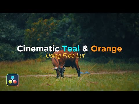 Get a Cinematic Teal & Orange Look By Using This Free LUT!!