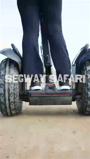 Bring your friends, bring your family, bring your sense of adventure. At Tala, every moment becomes a story worth sharing. Credit: Cord Productions #TalaFun #WildPlayground #AdventureStartsHere | Tala Private Game Reserve