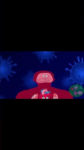 When the flu attacks, what happens inside the body?