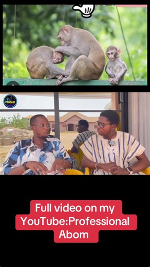 PROFESSIONAL_ABOM (@professional_abom)’s video of professional