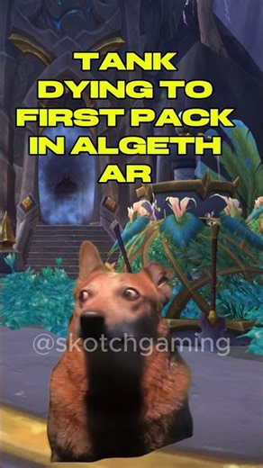 Prot Pala Algeth ar Academy first pack #worldofwarcraft