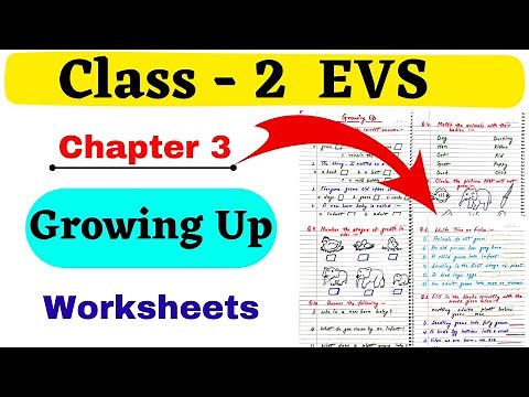 Growing Up EVS Worksheet| Class 2 EVS worksheet| EVS Worksheet for Class 2| Class 2 EVS| Grade 2 EVS