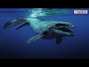 A New Mosasaur Species | 7 Days of Science