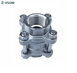 [Hot Item] Stainless Steel Vertical Threaded End Check Valve with 1000psi Spring Loaded