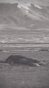 Get Exclusive access to Sadhguru’s private and intimate talks on Sadhguru Exclusive. Sign up for the monthly trial for ₹100 only and get full access ▶️ | Sadhguru