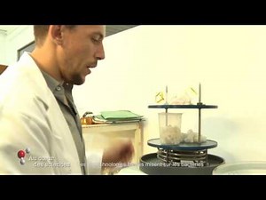 AU COEUR DES SCIENCES : les biotechnologies bleues misent sur les bactéries