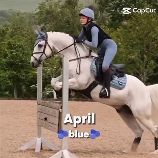 part 1 @HarlowLunaWhite #caseyshorseedits #viral #fyp #blowup #equestrian #harlowwhite #100kview